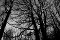 2016_01_24 (0003)